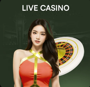 送你这棵花丨申花观赛手记